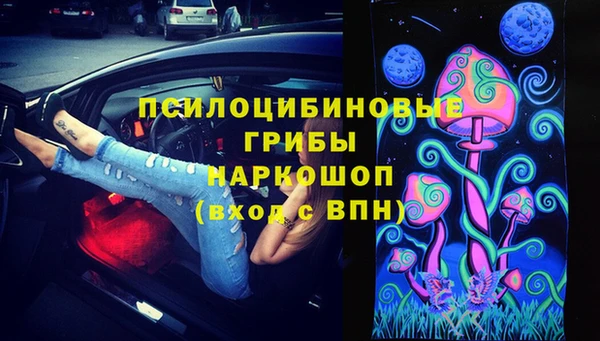 стафф Алзамай