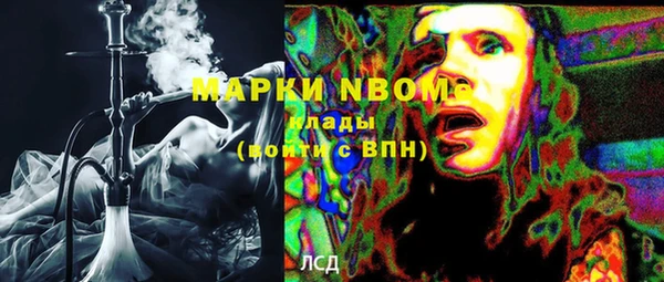 стафф Алзамай