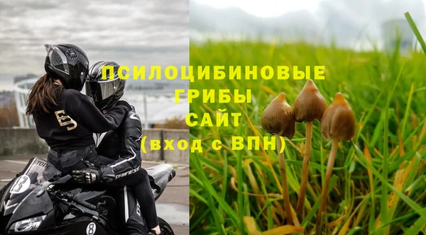 стафф Алзамай